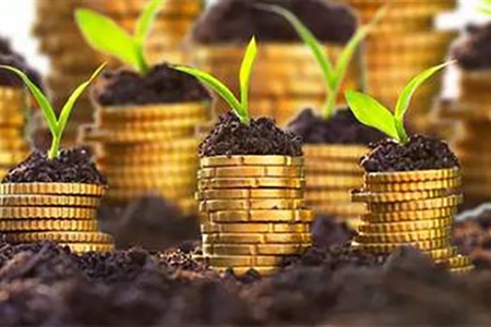 今日外汇货币走势分析（2025年11月7日）